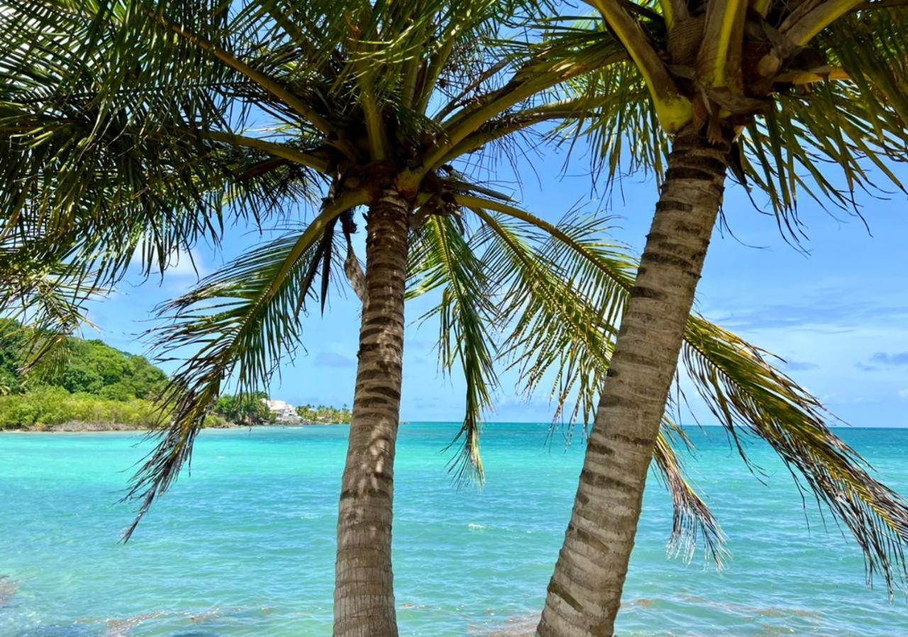 Jolie Petite Villa Sur Une Presqu'Ile Le Gosier (Grande-Terre) Exterior foto